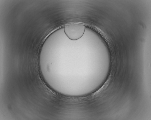 X0000111241361200907020950