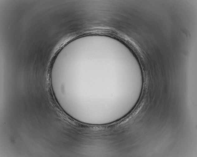 X0000111241362200907020950