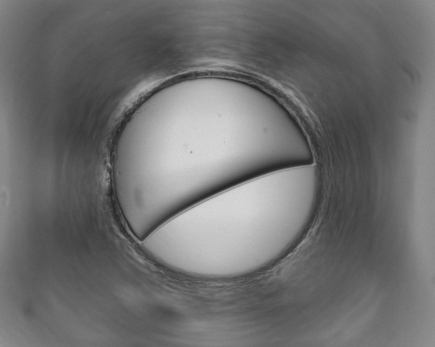 X0000111241363200907020950