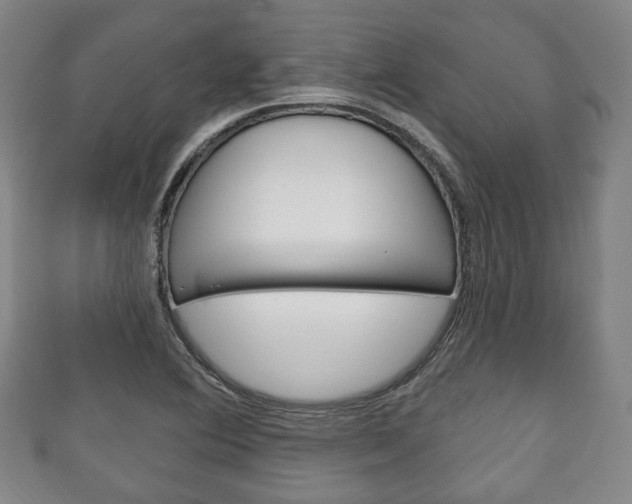 X0000111241364200907020950