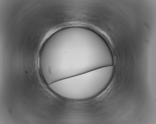 X0000111241365200907020950