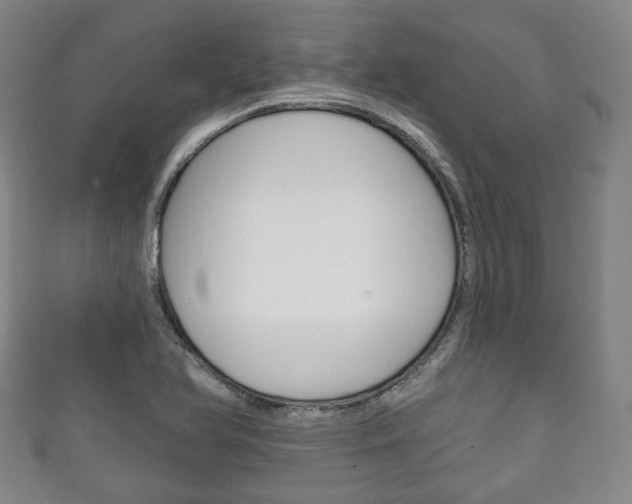 X0000111241366200907020950