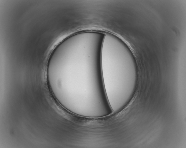 X0000111241367200907020950