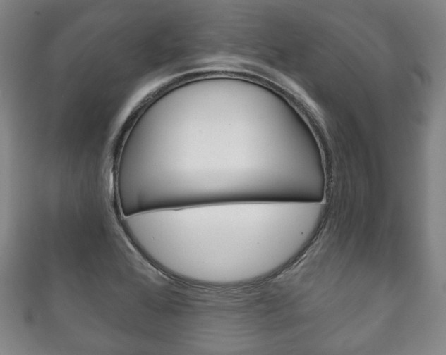 X0000111241368200907020950