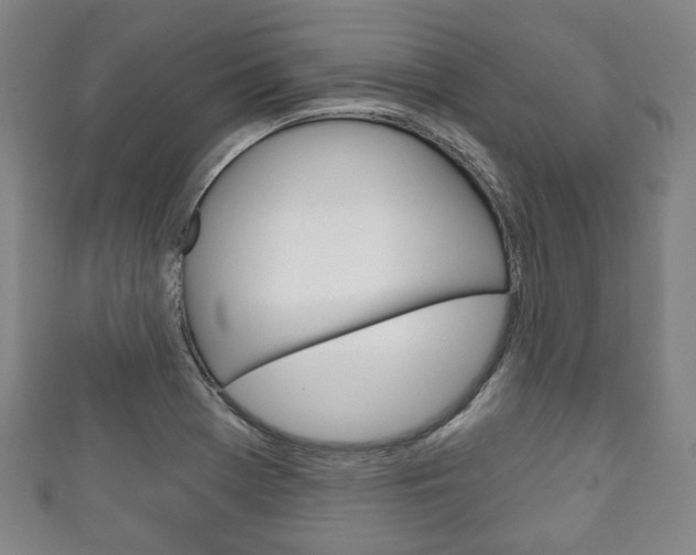 X0000111241369200907020950