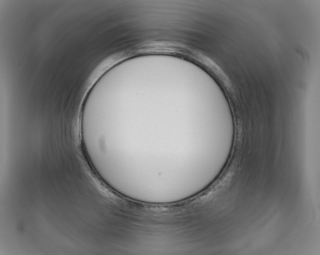 X0000111241370200907020950