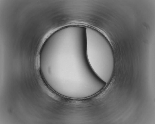 X0000111241371200907020950