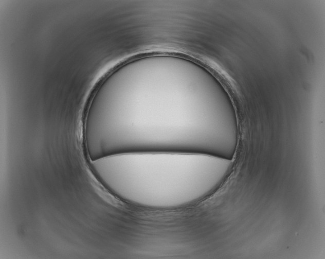 X0000111241372200907020950
