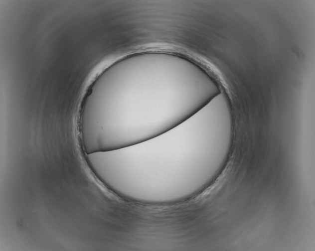X0000111241373200907020950