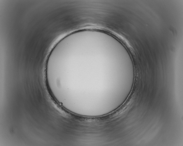 X0000111241375200907020950