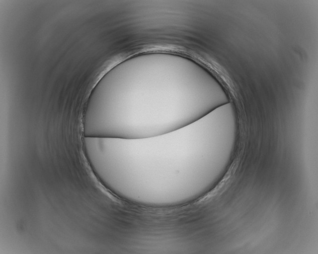 X0000111241377200907020950