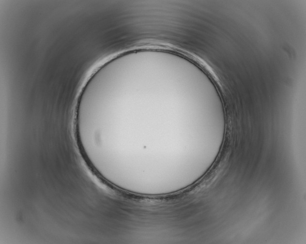 X0000111241379200907020950