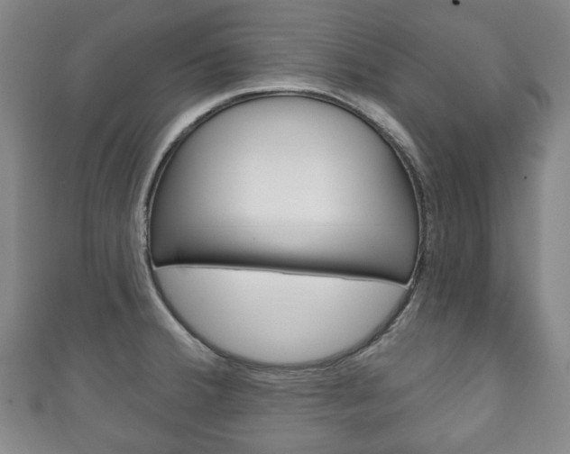 X0000111241380200907020950