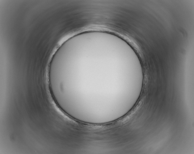 X0000111241382200907020950