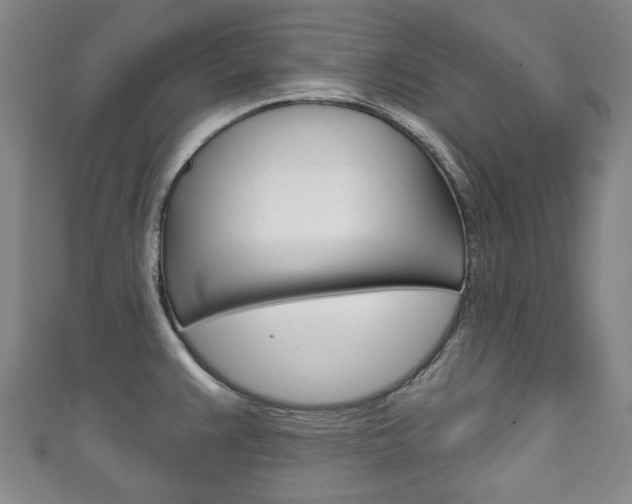 X0000111241383200907020950