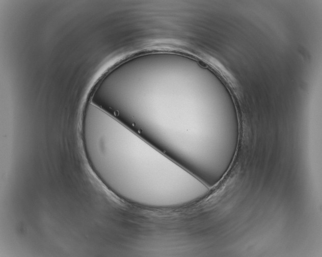 X0000111241384200907020950