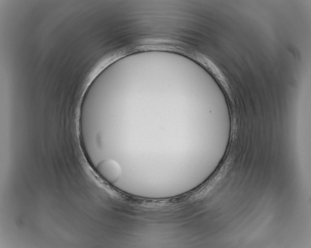 X0000111241386200907020949