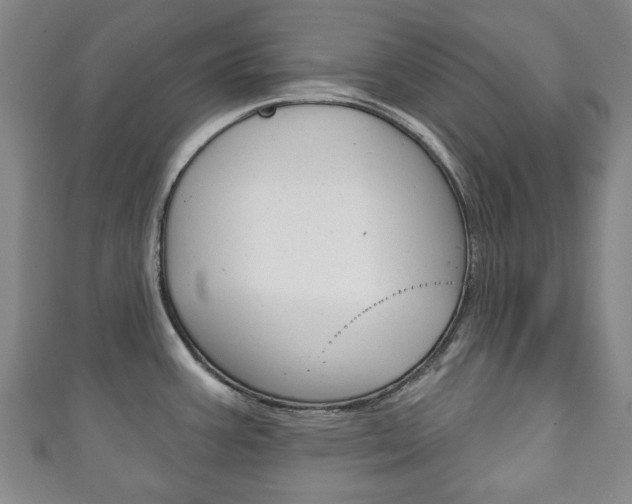 X0000111241387200907020949