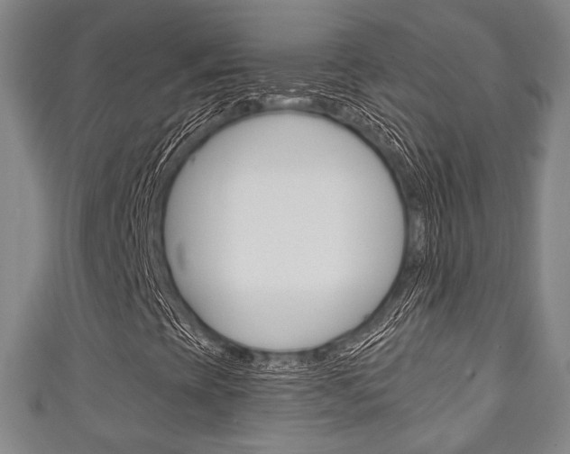 X0000111241393200907020949