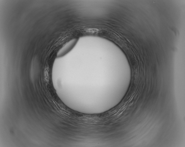 X0000111241394200907020949