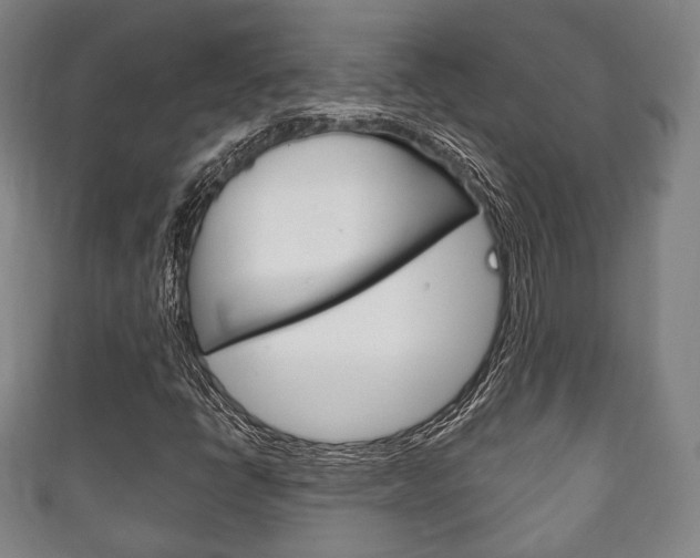 X0000111241398200907020949