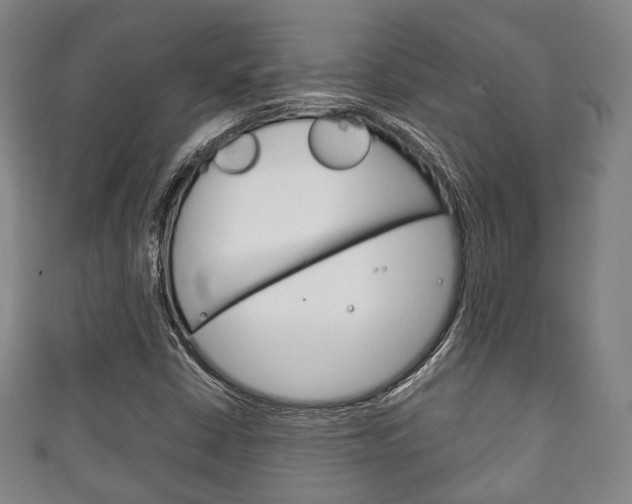 X0000111241402200907020949