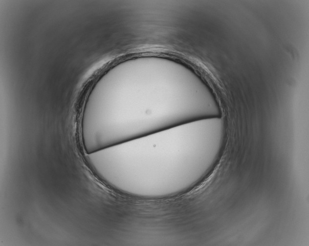 X0000111241406200907020949