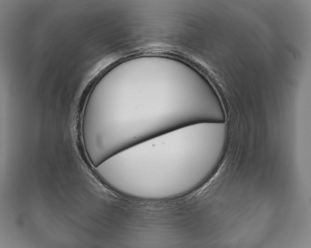 X0000111241410200907020949