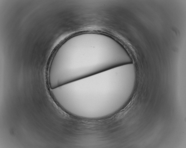X0000111241412200907020949