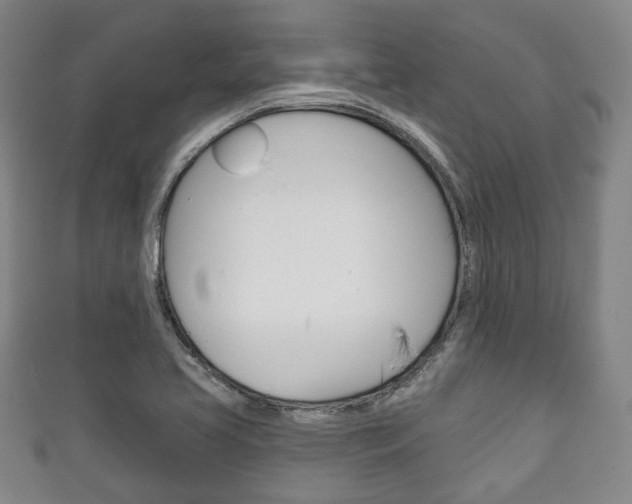 X0000111241413200907020949