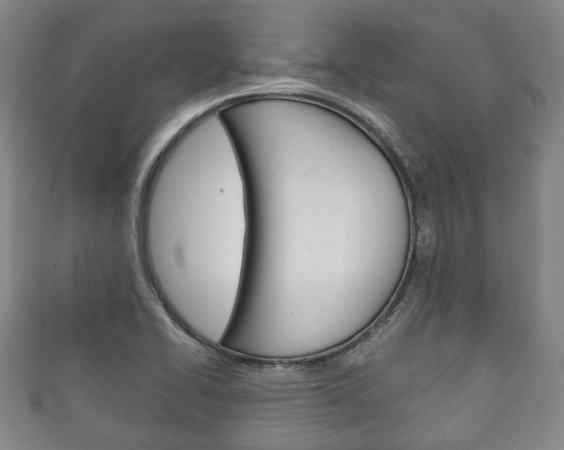 X0000111241414200907020949