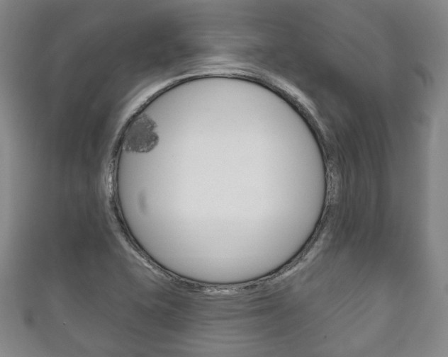 X0000111241415200907020949