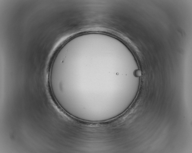 X0000111241416200907020949