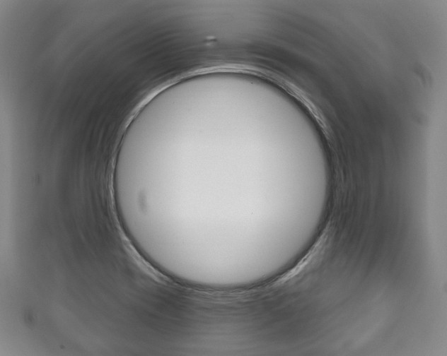 X0000111241417200907020949