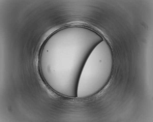 X0000111241418200907020949