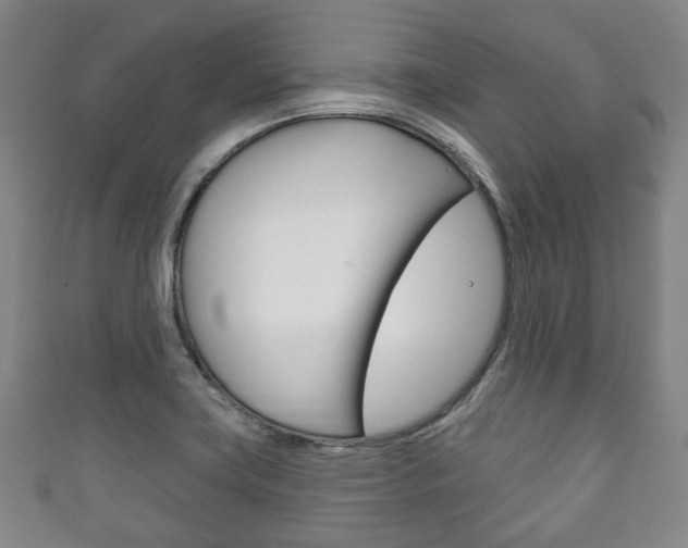 X0000111241419200907020949