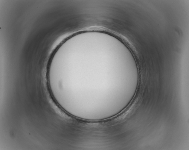 X0000111241422200907020949