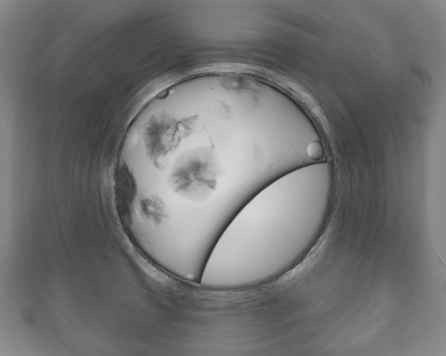 X0000111241425200907020949