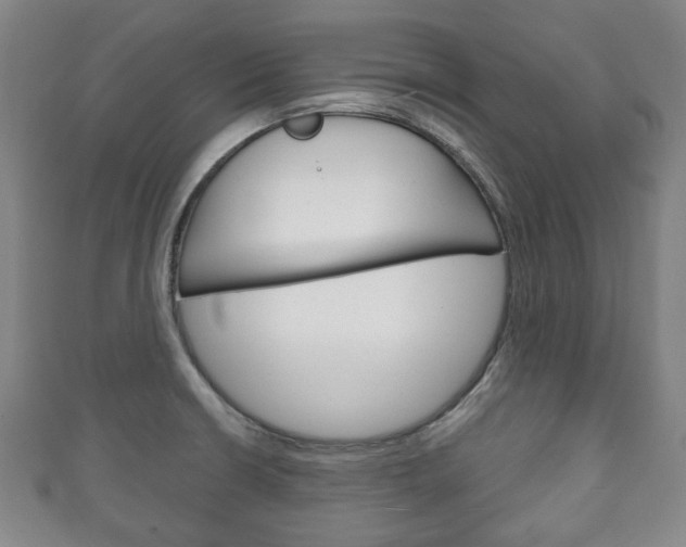 X0000111241426200907020949
