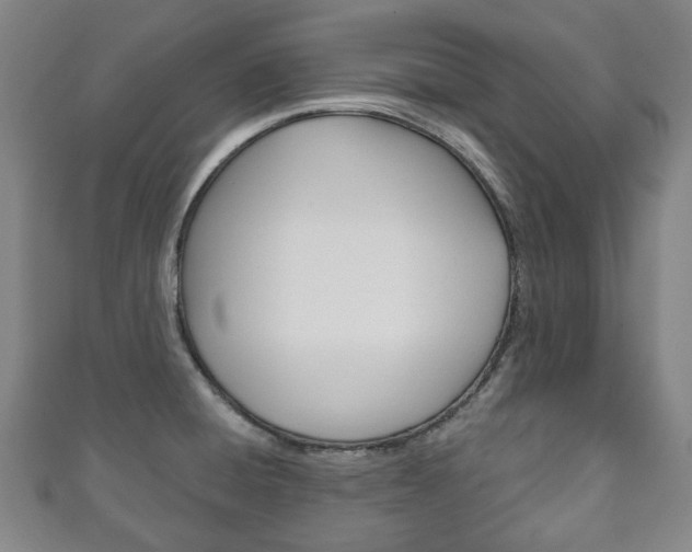 X0000111241428200907020949