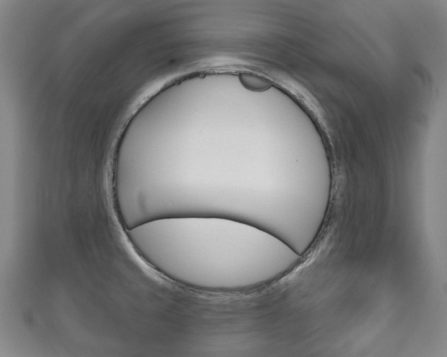 X0000111241429200907020949