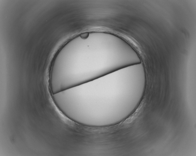 X0000111241430200907020949