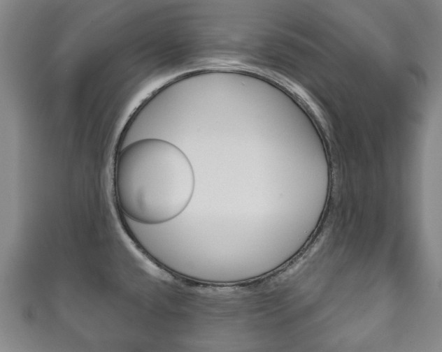 X0000111241432200907020949