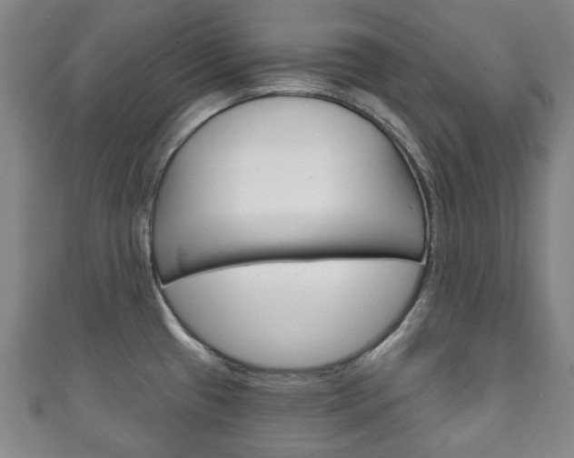 X0000111241433200907020949