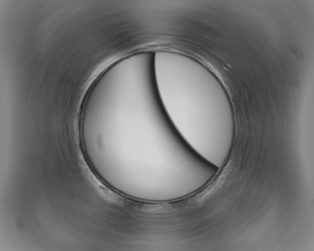 X0000111241434200907020949