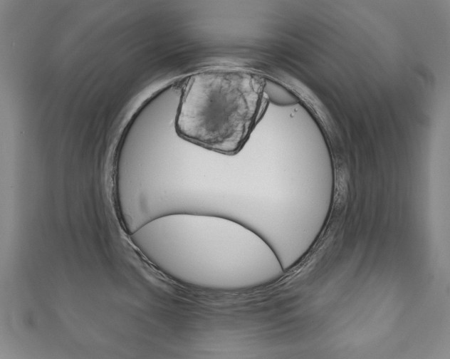 X0000111241435200907020949