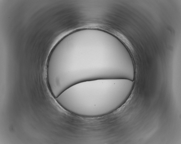X0000111241436200907020949
