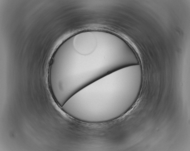 X0000111241437200907020949