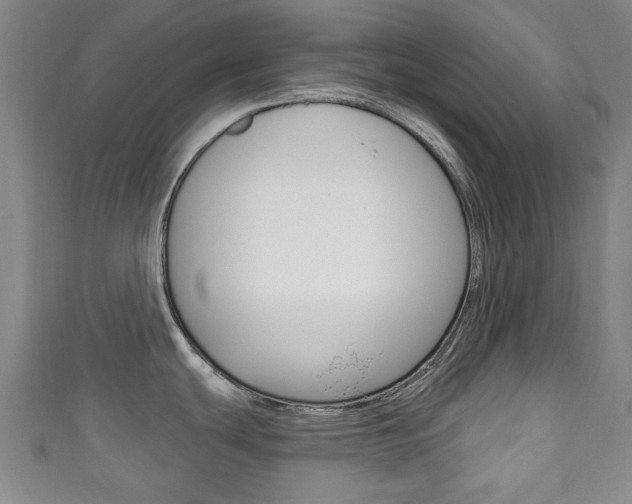 X0000111241439200907020949