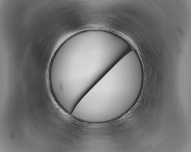 X0000111241440200907020949